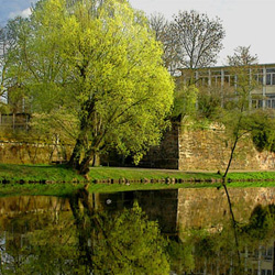 Saarlouis (Stadt) - Hauptamt und Wirtschaftsförderung - powered by Bscout® - Faire Suchmaschine & Netzwerk!